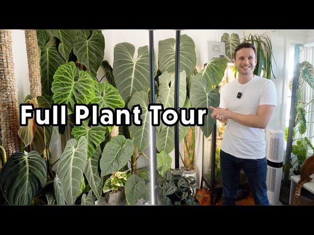 A CLOSER LOOK AT ALL OF MY PLANTS - full house & garden tour