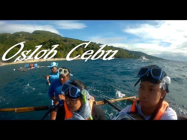 OSLOB, CEBU -  Family Travel