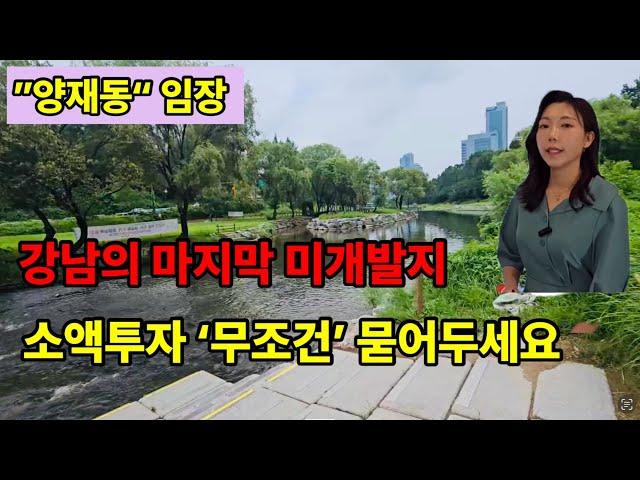 [양재동 임장] 강남의 마지막 미개발지, 현재 모아타운도 진행하고 있는 양재2동 소액투자 무조건 묻어두세요.