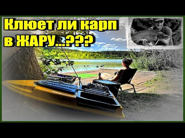 Клюет ли карп в жару...?? Ночное кораблекрушение и другие приключения карпятников.