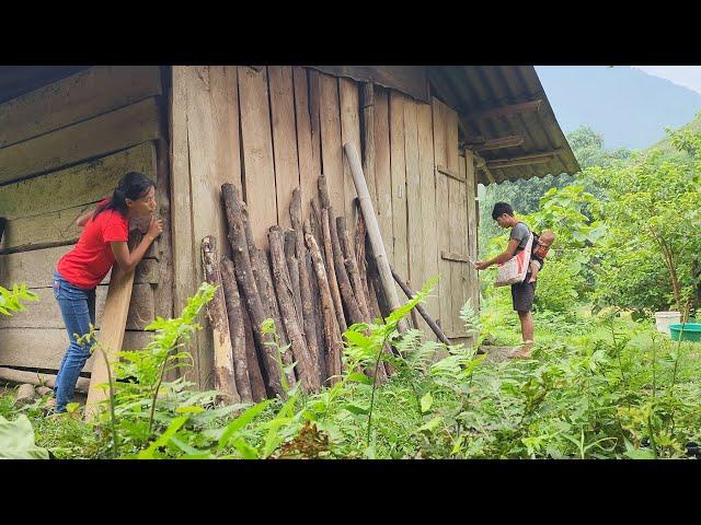 Single father: Harvesting jackfruit to sell, wife regrets treating my father and me so badly