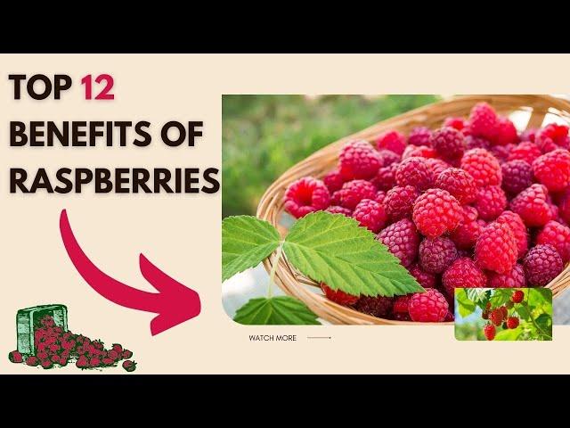 ◼Top 12 Incredible Benefits of Raspberries  How to Eat Raspberry  Raspberries Health Benefits