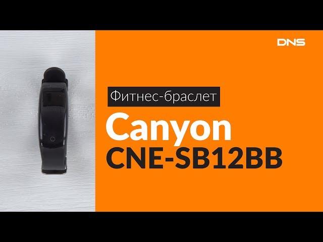 Распаковка фитнес-браслета Canyon CNE-SB12BB / Unboxing Canyon CNE-SB12BB