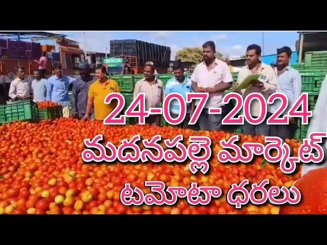 24-07-24#madanapalle tomato market price today#todaytomatoprice#madanapalle#మదనపల్లి#sreenivasvlogs
