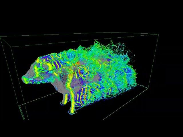 Aerodynamics of a cow