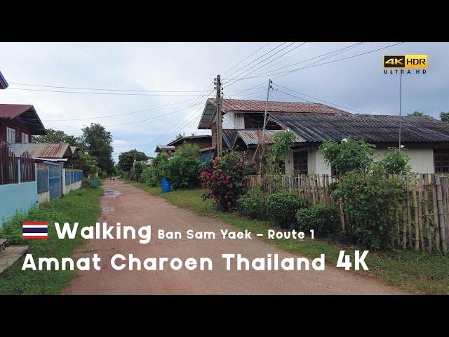 Walking 4K in the rural village of Thailand - Ban Sam Yaek, Amnat Charoen - Route 1 | 19 Aug 2022 