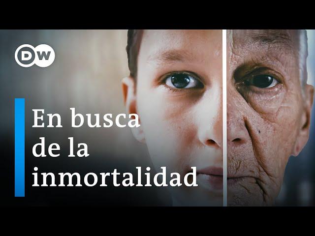 Descifrar el código secreto del envejecimiento | DW Documental