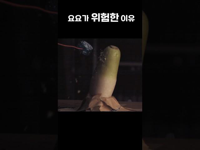 요요에 맞으면 얼마나 아플까? #요요고수