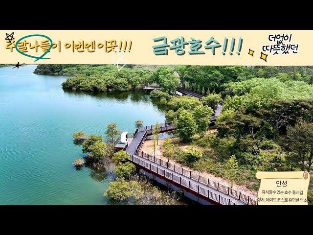 이곳에 발을 딛는 순간 예술적 영감이 떠오르게 됩니다.  / 금광호수 /  박두진둘레길 /  4k