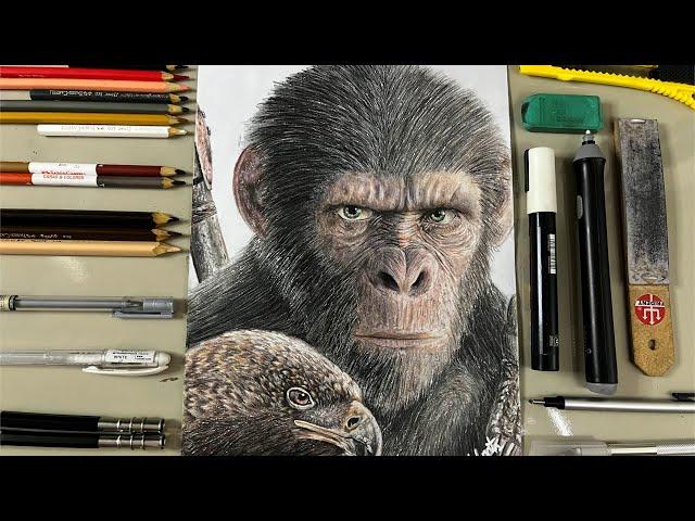 Desenhando o Noa ( Planeta dos Macacos: O Reinado ) - Speed Drawing