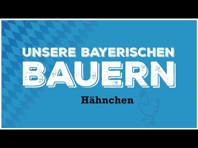 Besuch beim Hähnchenbauern