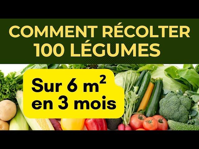 100 légumes ou plus sur 6 m²: salades, radis, choux, culture bio