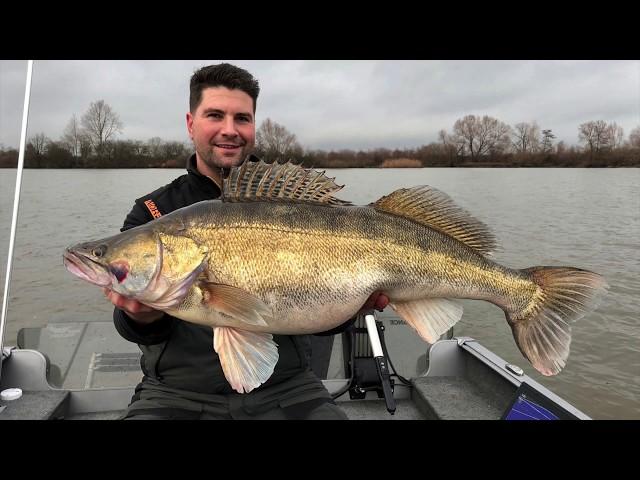 Release 98 cm snoekbaars, Robert, 8-1-2020