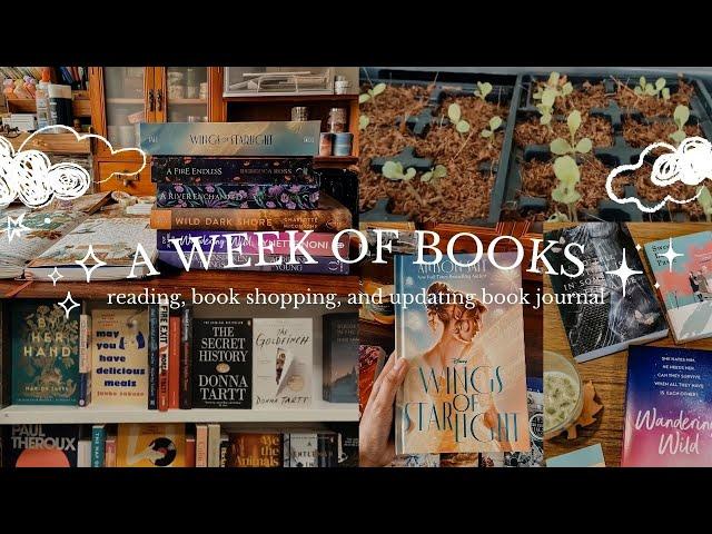 a week of books!  book shopping, updating my book journal, and reading 