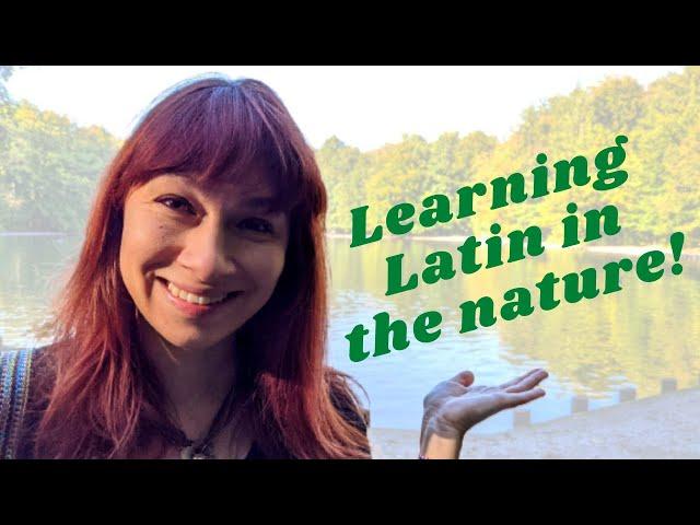 Easy spoken LATIN for beginners with subtitles! Latine loqui in silva!