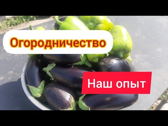 Наш урожай/ есть разочарование