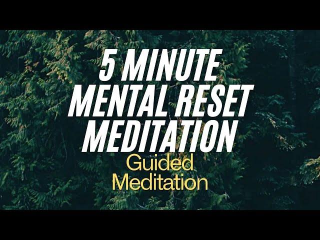 Mindfulness Guided Meditation for Anxiety and Stress