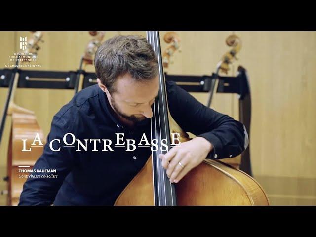 Contrebasse - Orchestre philharmonique de Strasbourg