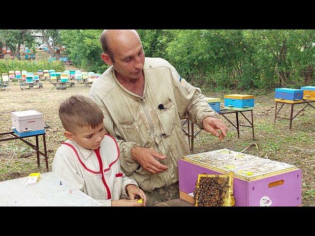 Матки бывают разные...30.07.2021