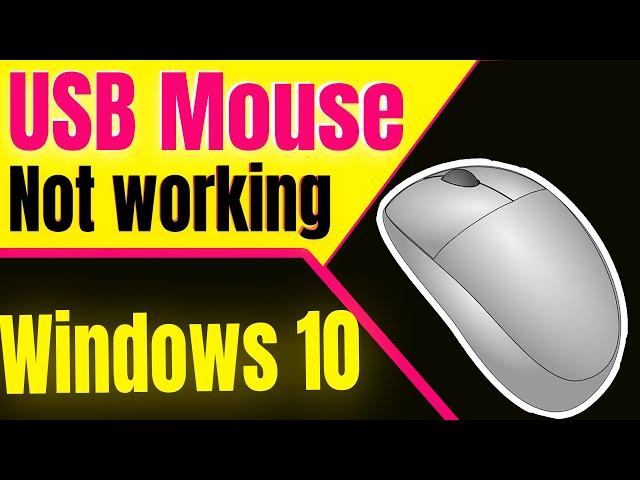 Usb Mouse Not Working Windows 10 | Mouse Not Working in Windows 10 Fix | Must Watch!