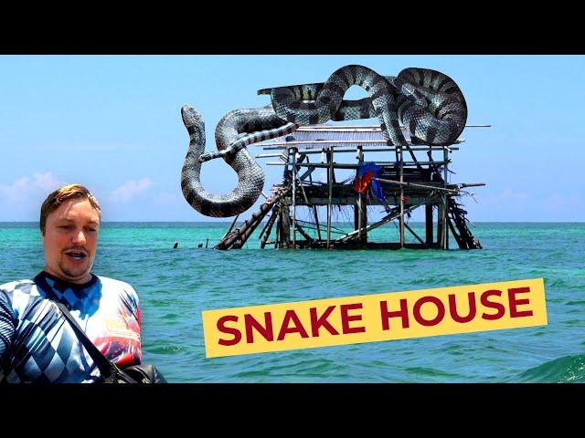 Mindanao's MOST DANGEROUS House! 100 SEA SNAKES Live Here