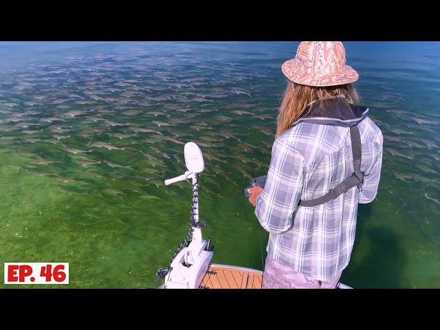 Huge School of Snapper in 1 Meter of Water! Incredible Footage!