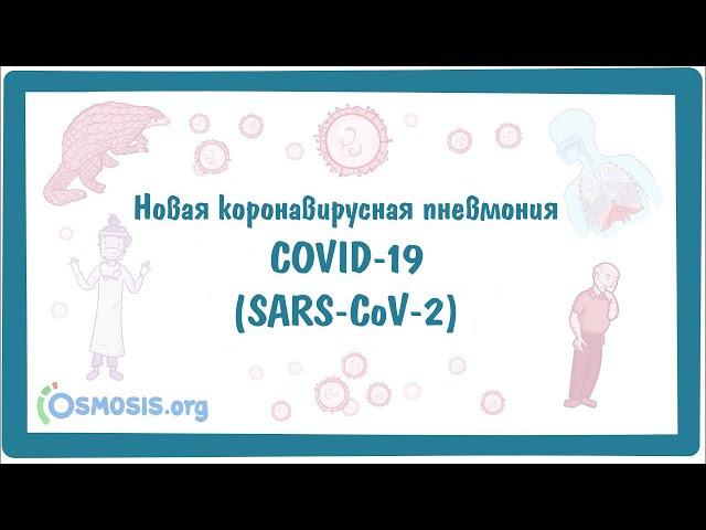 COVID-19 - Новая коронавирусная пневмония