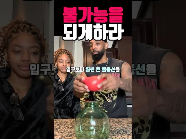 진짜 신기한 영상