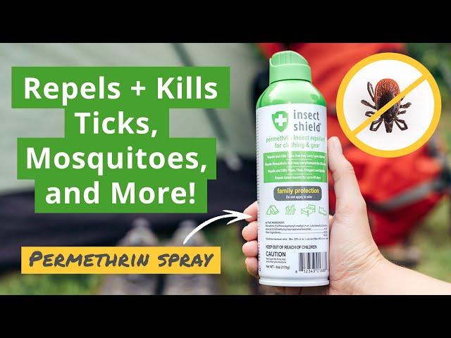 Insect Shield Permethrin Spray | Repels and Kills Ticks, Mosquitoes, and Other Insects