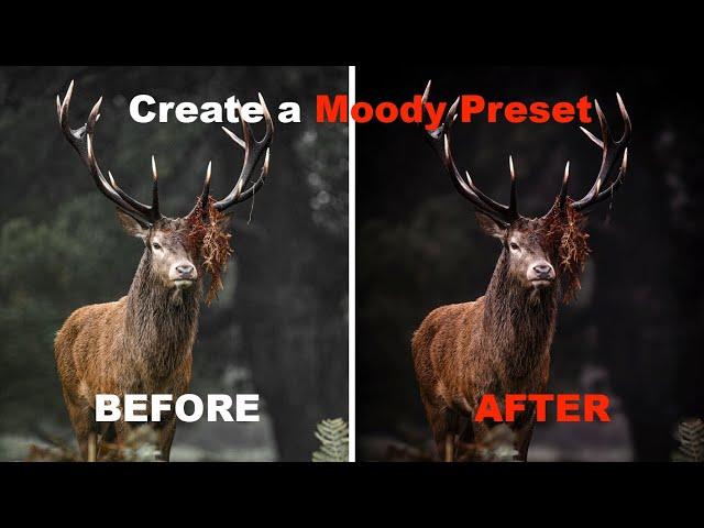 How To: Create a Moody Preset (Beginner)