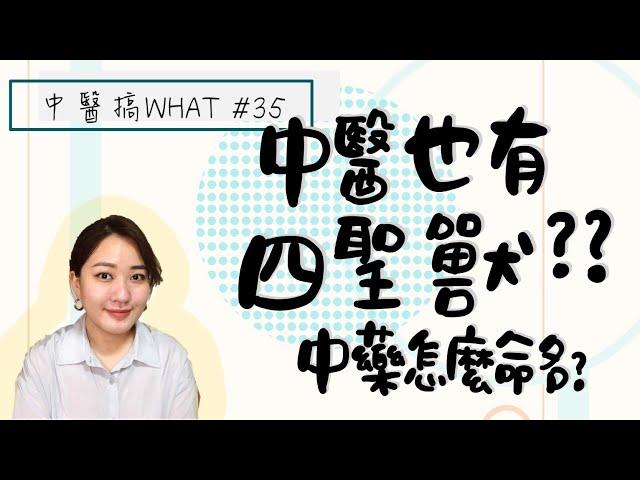 中醫裡的四聖獸??!! | 中藥命名好神奇?? /// 中醫搞WHAT #35