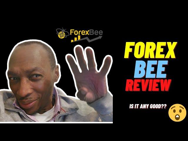 Forex Bee Review - Can this forexbee help your Forex trading?