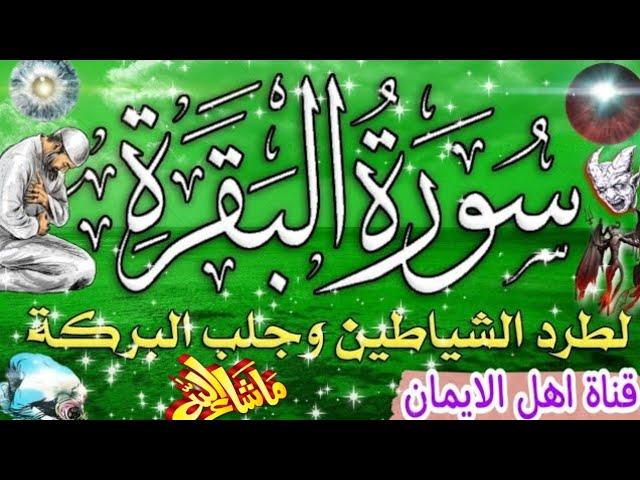 سورة البقرة كاملة مكررة بصوت اكثر من رائع لطرد الشياطين والجن والسحر والحسد جلب الرزق surat albaqara