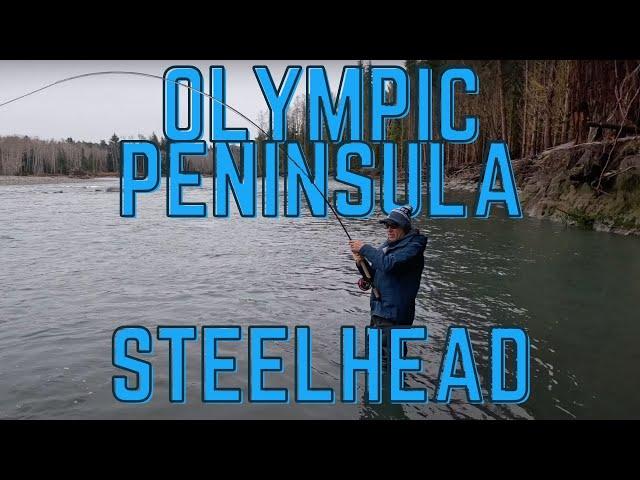 Spey Casting for (and catching) Wild Steelhead On The Olympic Peninsula
