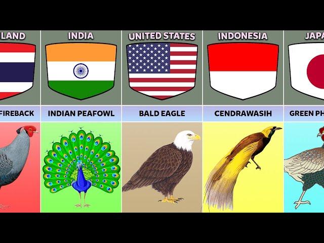 National Birds From Different Countries