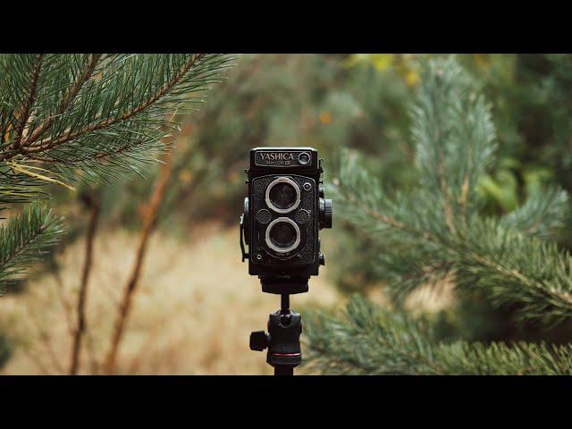 Yashica Mat 124G Review - Affordable medium format