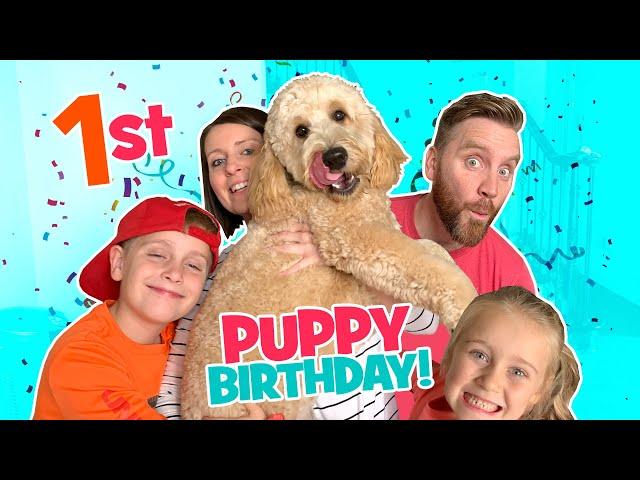 Theo is turning 1! Puppy's Birthday VLOG / K-City Family