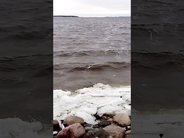 Шторм на берегу Эстонии.