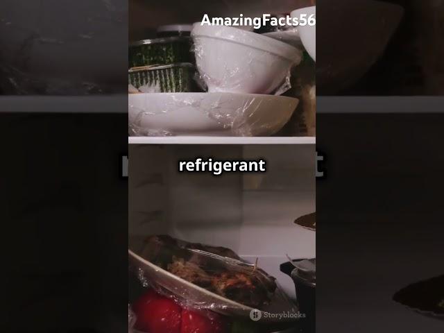 How Freezers Work #amazing #facts #curiosity #freezer #cool #mindblowing