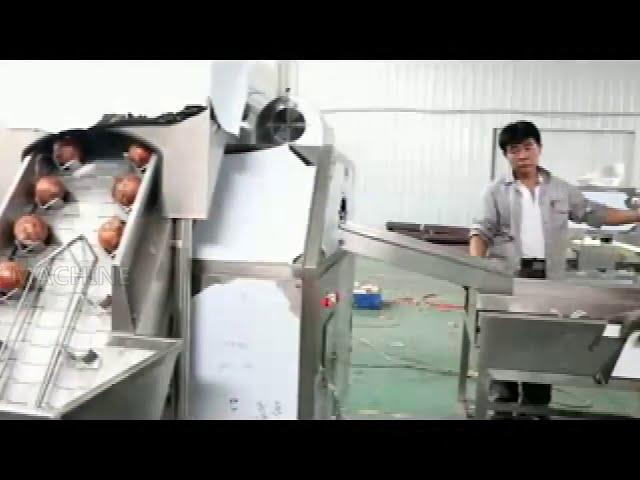 Auto onion peeling and cutting machine from Henan Vic Machine