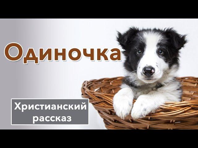  Одиночка - ИНТЕРЕСНЫЙ ХРИСТИАНСКИЙ РАССКАЗ | Христианские рассказы