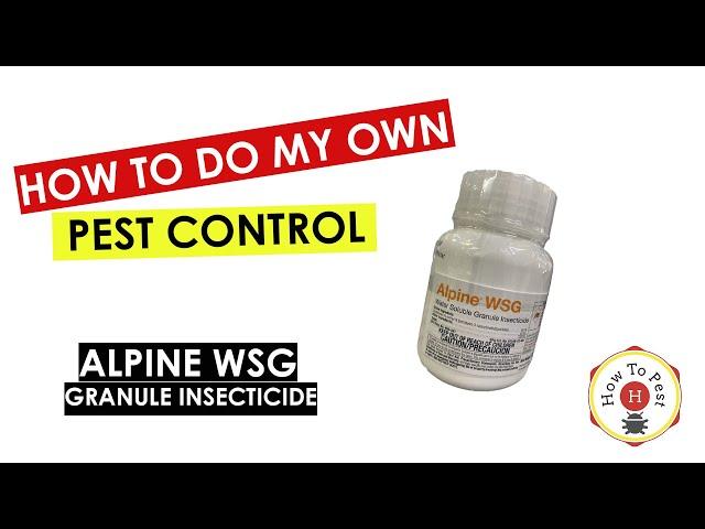 How To Do My Own Pest Control - ALPINE WSG