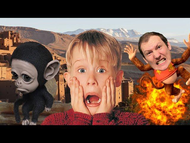 Morocco DID WHAT to Monkeys?!