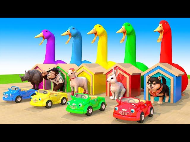 Baseball Monkey Duck Rabbit Dog in Car Guess The Right Door ESCAPE ROOM CHALLENGE Animals Cage Game