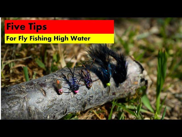 5 Tips for Fly Fishing High Water