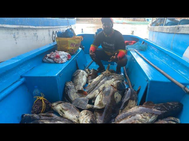 One of the best island trip of the year  in GOA/INDIA .CATCHING BIG  GROUPER