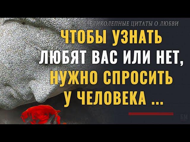 Великолепные Цитаты о Любви, которые не оставят Вас равнодушными  Афоризмы, мудрые мысли