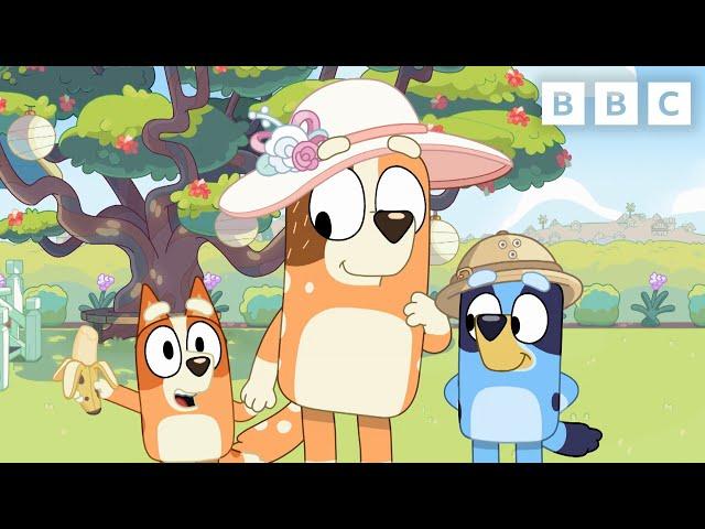 Bluey | Backyard Zoo  | CBeebies