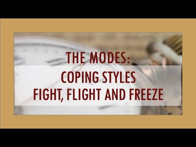 THE MODES: Coping Styles