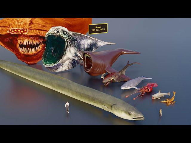 Largest sea creatures size comparison (3D animation)  #animation